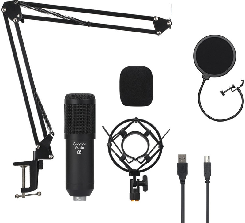 Gamma Audio Ga-Bm800 Shielded Cable Condenser Microphone With Long Stand,Cable,Shock Mount