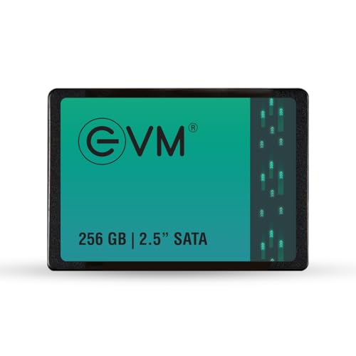 Evm 256Gb 2.5-Inch Sata Internal Ssd – 550Mb/S Read & 500Mb/S Write – 5-Year Warranty (Evm25/256Gb)