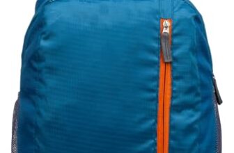 Acepack Daypack Bag 2 Compartment Backpack For Daily Use – Library, Office, Outdoor Hiking (Teal)