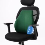 Sleepsia Back Support For Office Chair 1 Year Warranty Lumbar Support For Office Chair, Car Seat Back Support, Memory Foam Pillow (Gel Ventilated, Green)