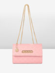 Chemistry Women Pink Shoulder Bag