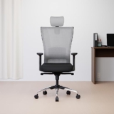 Green Soul® Primus, High Back Mesh Ergonomic Home Office Desk Chair With 2D Adjustable Armrests & Lumbar Support, Smart Synchro Multi-Tilt Lock Mechanism & Heavy Duty Metal Base {Primus(Grey Back)}