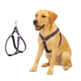 Petbabas Dog Harness No Pull With Front Clip | Dog Walking Chest Harness With Reflective Adjustable Soft Padded Vest And Easy Control Handle Sizes (Medium, Purple)