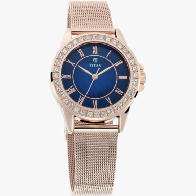 Titan Ladies Purple Wm Analog Watch  – For Women