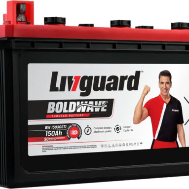 Livguard 30 Months Warranty Tubular Inverter Battery(150 Ah, Bw15030Stj)