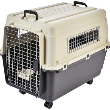Amazon Basics Heavy Duty Pet Airline Carrier | Iata Approved Medium Pet Carrier | Travel Pet Kennel | Suitable For Medium Size Dogs | Breathable & Washable | 32 Inches